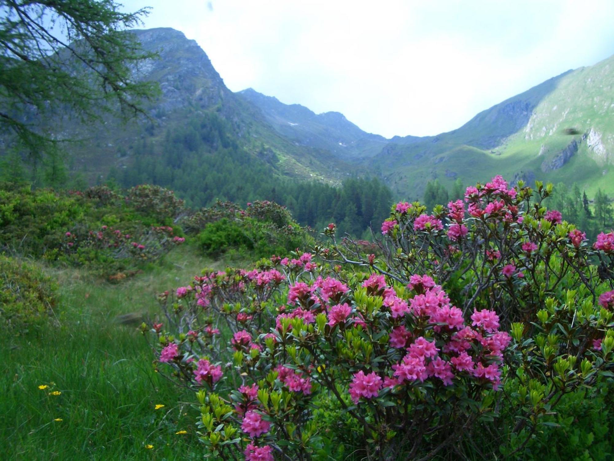 Appartementhaus Flattach Goritschnig ภายนอก รูปภาพ